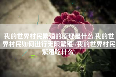 我的世界村民繁殖的原理是什么,我的世界村民如何进行无限繁殖-(我的世界村民繁殖吃什么)