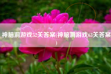 神脑洞游戏52关答案(神脑洞游戏63关答案)