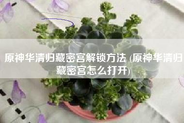 原神华清归藏密宫解锁方法 (原神华清归藏密宫怎么打开)
