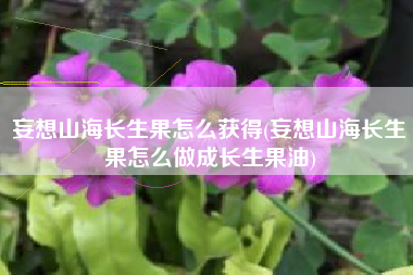 妄想山海长生果怎么获得(妄想山海长生果怎么做成长生果油)
