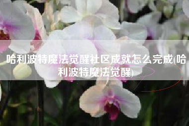 哈利波特魔法觉醒社区成就怎么完成(哈利波特魔法觉醒)