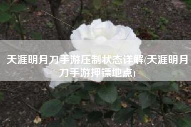 天涯明月刀手游压制状态详解(天涯明月刀手游押镖地点)