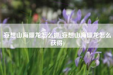 妄想山海蜃龙怎么抓(妄想山海蜃龙怎么获得)
