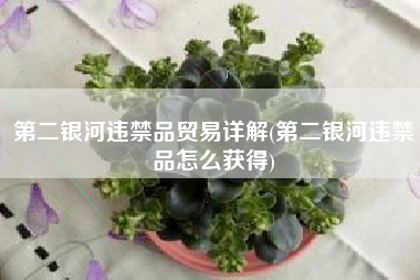 第二银河违禁品贸易详解(第二银河违禁品怎么获得)