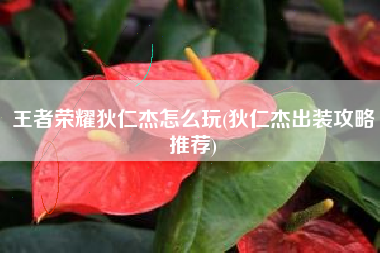 王者荣耀狄仁杰怎么玩(狄仁杰出装攻略推荐)
