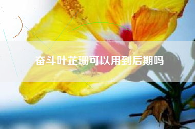 奋斗叶芷珊可以用到后期吗