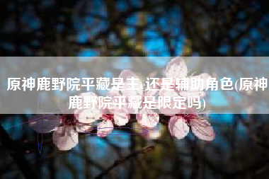原神鹿野院平藏是主c还是辅助角色(原神鹿野院平藏是限定吗)