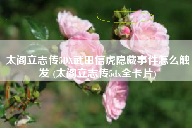 太阁立志传5DX武田信虎隐藏事件怎么触发 (太阁立志传5dx全卡片)