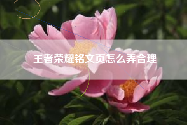 王者荣耀铭文页怎么弄合理