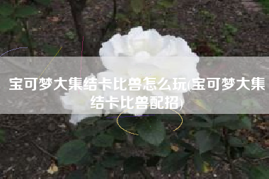 宝可梦大集结卡比兽怎么玩(宝可梦大集结卡比兽配招)
