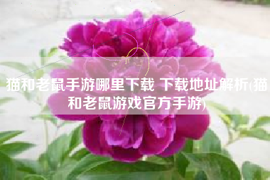 猫和老鼠手游哪里下载 下载地址解析(猫和老鼠游戏官方手游)