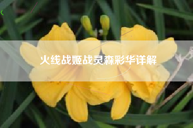 火线战姬战灵森彩华详解