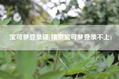 宝可梦登录键(精灵宝可梦登录不上)