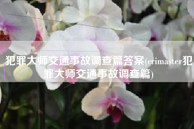 犯罪大师交通事故调查篇答案(crimaster犯罪大师交通事故调查篇)