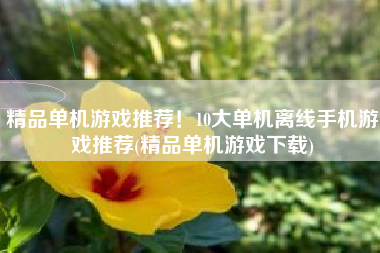 精品单机游戏推荐！10大单机离线手机游戏推荐(精品单机游戏下载)