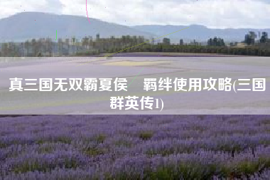 真三国无双霸夏侯惇羁绊使用攻略(三国群英传1)