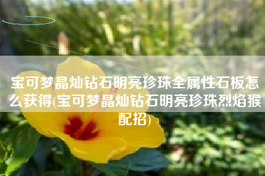 宝可梦晶灿钻石明亮珍珠全属性石板怎么获得(宝可梦晶灿钻石明亮珍珠烈焰猴配招)