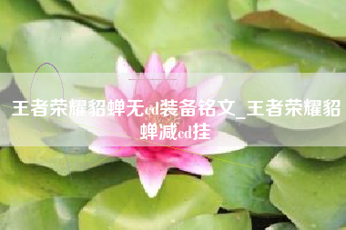 王者荣耀貂蝉无cd装备铭文_王者荣耀貂蝉减cd挂