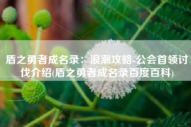 盾之勇者成名录:浪潮攻略-公会首领讨伐介绍(盾之勇者成名录百度百科) 盾之勇者成名录:浪潮攻略-公会首领讨伐介绍(盾之勇者成名录百度百科)