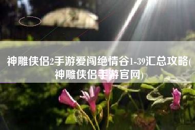 神雕侠侣2手游爱闯绝情谷1-39汇总攻略(神雕侠侣手游官网)