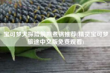 宝可梦大探险前期煮锅推荐(精灵宝可梦旅途中文版免费观看)