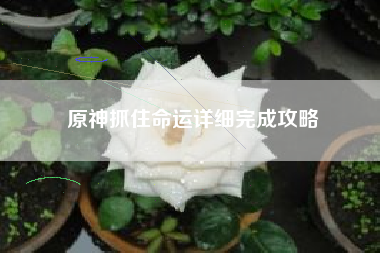 原神抓住命运详细完成攻略