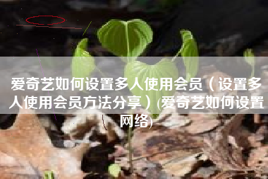 爱奇艺如何设置多人使用会员（设置多人使用会员方法分享）(爱奇艺如何设置网络)