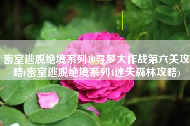 密室逃脱绝境系列10寻梦大作战第六关攻略(密室逃脱绝境系列4迷失森林攻略)