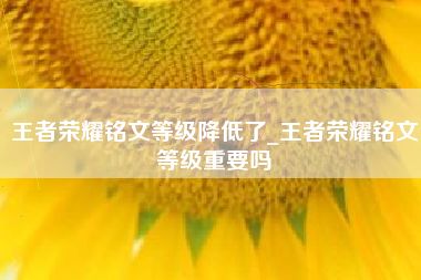 王者荣耀铭文等级降低了_王者荣耀铭文等级重要吗