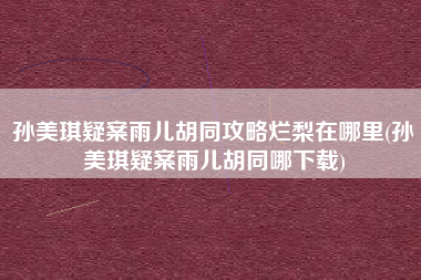 孙美琪疑案雨儿胡同攻略烂梨在哪里(孙美琪疑案雨儿胡同哪下载)