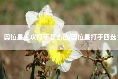 奥拉星主攻打手怎么选(奥拉星打手四选一)