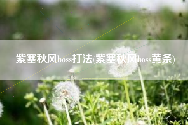 紫塞秋风boss打法(紫塞秋风boss黄条)