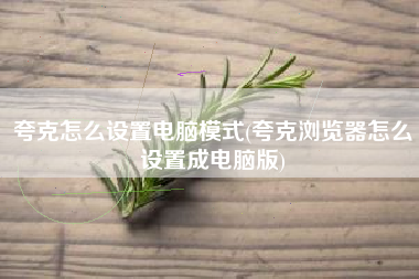 夸克怎么设置电脑模式(夸克浏览器怎么设置成电脑版)