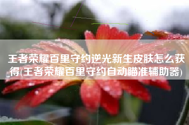 王者荣耀百里守约逆光新生皮肤怎么获得(王者荣耀百里守约自动瞄准辅助器)