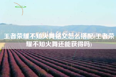 王者荣耀不知火舞铭文怎么搭配(王者荣耀不知火舞还能获得吗)