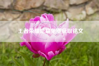王者荣耀隐藏免费获取铭文