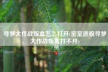 寻梦大作战饭盒怎么打开(密室逃脱寻梦大作战饭盒打不开)