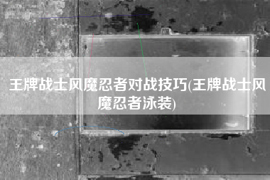 王牌战士风魔忍者对战技巧(王牌战士风魔忍者泳装)