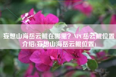 妄想山海岳云鲲在哪里？NPC岳云鲲位置介绍(妄想山海岳云鲲位置)