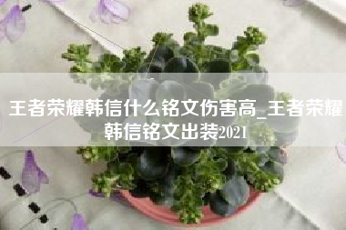 王者荣耀韩信什么铭文伤害高_王者荣耀韩信铭文出装2021