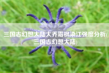 三国志幻想大陆大乔霜枫染江强度分析(三国志幻想大陆)