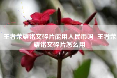 王者荣耀铭文碎片能用人民币吗_王者荣耀铭文碎片怎么用