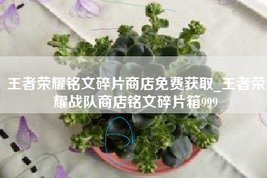 王者荣耀铭文碎片商店免费获取_王者荣耀战队商店铭文碎片箱999