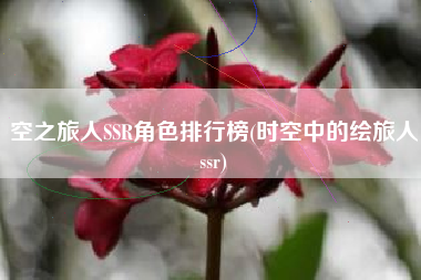 空之旅人SSR角色排行榜(时空中的绘旅人ssr)