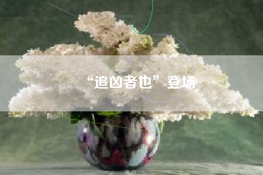 “追凶者也”登场