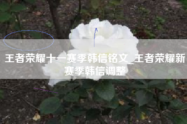 王者荣耀十一赛季韩信铭文_王者荣耀新赛季韩信调整