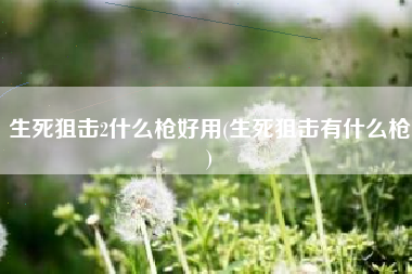 生死狙击2什么枪好用(生死狙击有什么枪)