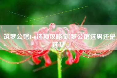 筑梦公馆1-6选项攻略(筑梦公馆选男还是选女)