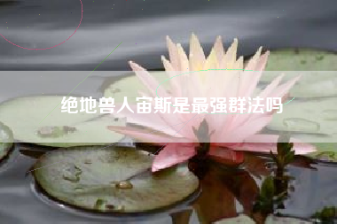 绝地兽人宙斯是最强群法吗