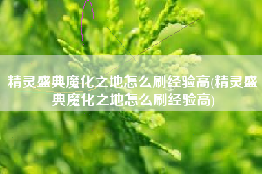 精灵盛典魔化之地怎么刷经验高(精灵盛典魔化之地怎么刷经验高)